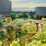 Bild Urban Gardening